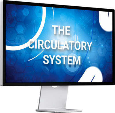 Video Download - The Circulatory System (Adult) VID-TCS-ADT